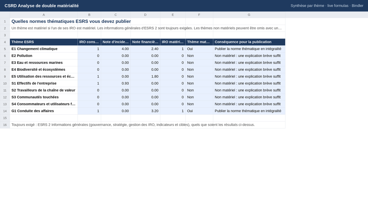 CSRD Analyse de double matérialité sheet preview 2