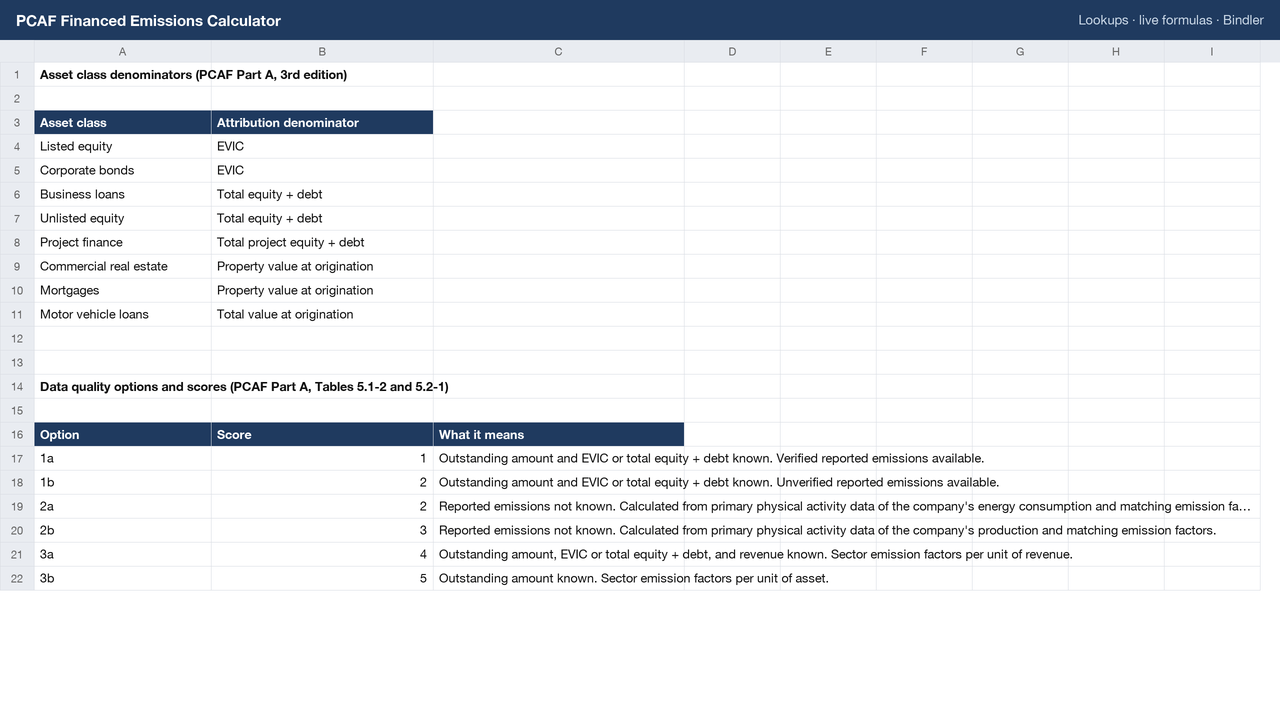 Lookups sheet: denominators by asset class and data quality options